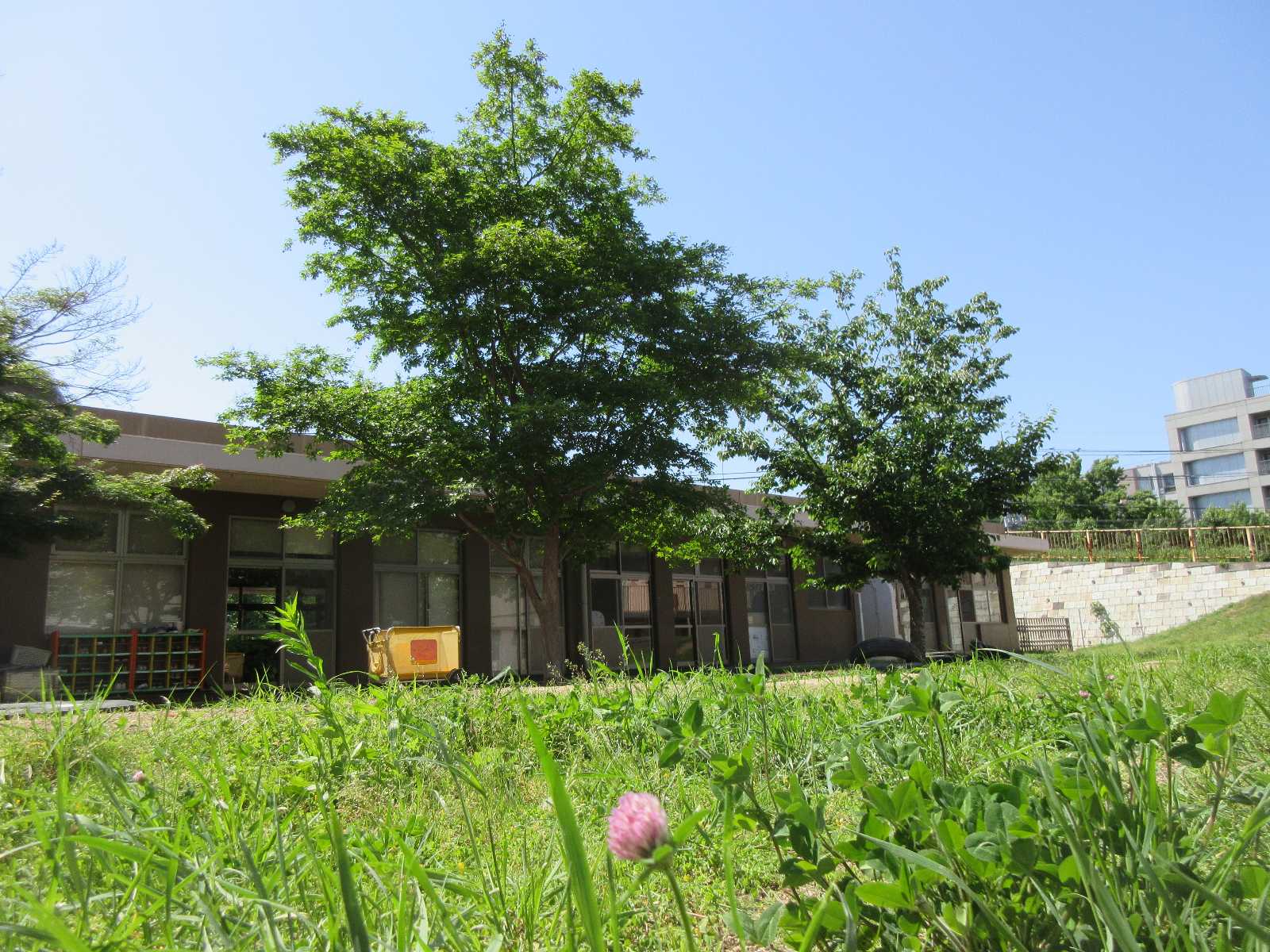 第二勝田保育園の画像