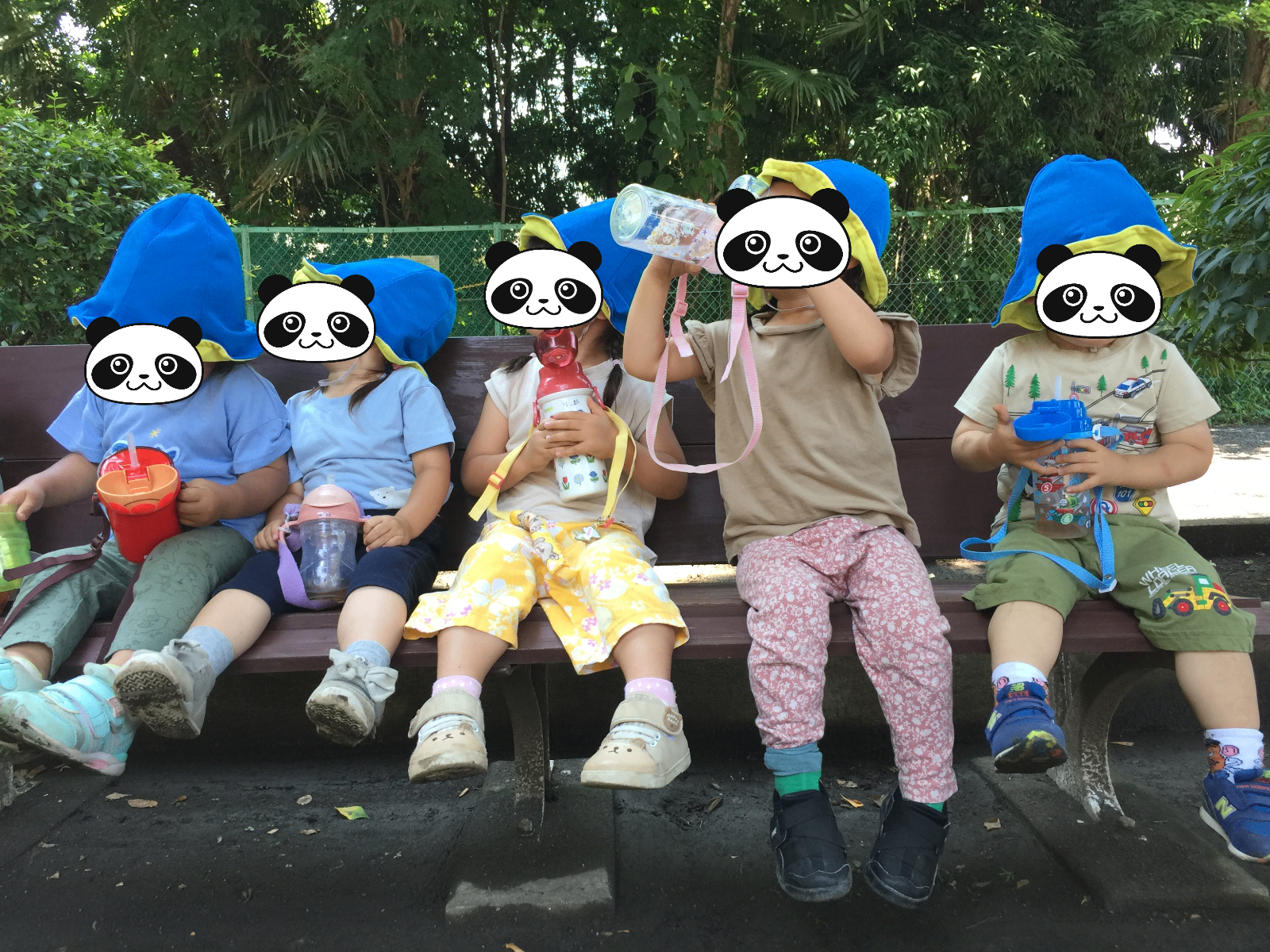 たんぽぽ保育園の画像