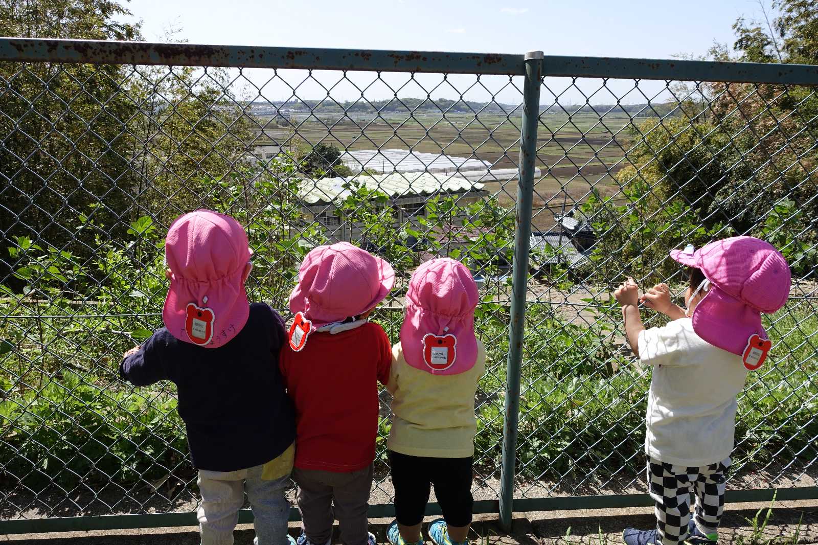 森と自然の保育園のびのびハウスの画像