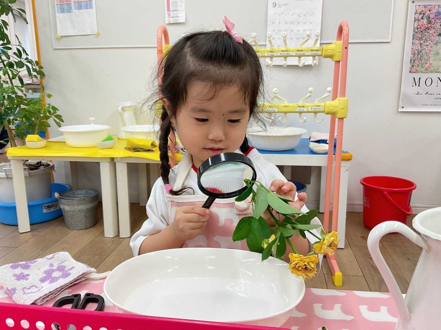 インターナショナル・モンテッソーリ・ ミライキンダーガーテンの画像