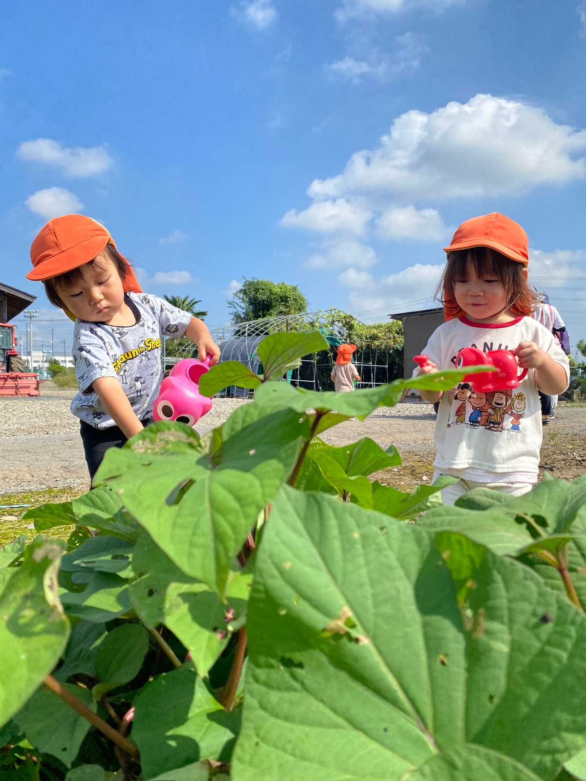 ココカラ雀宮保育園