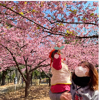 ここいく保育園碑文谷の画像