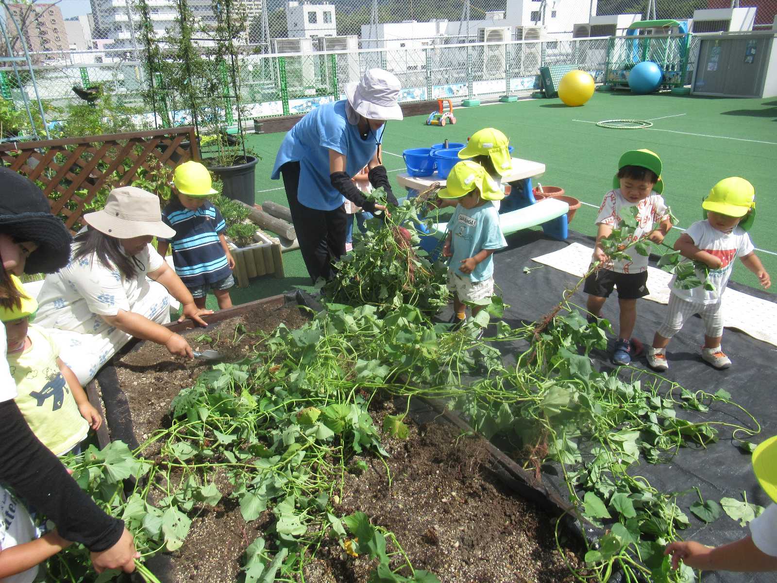 まつやま大手町保育所の画像