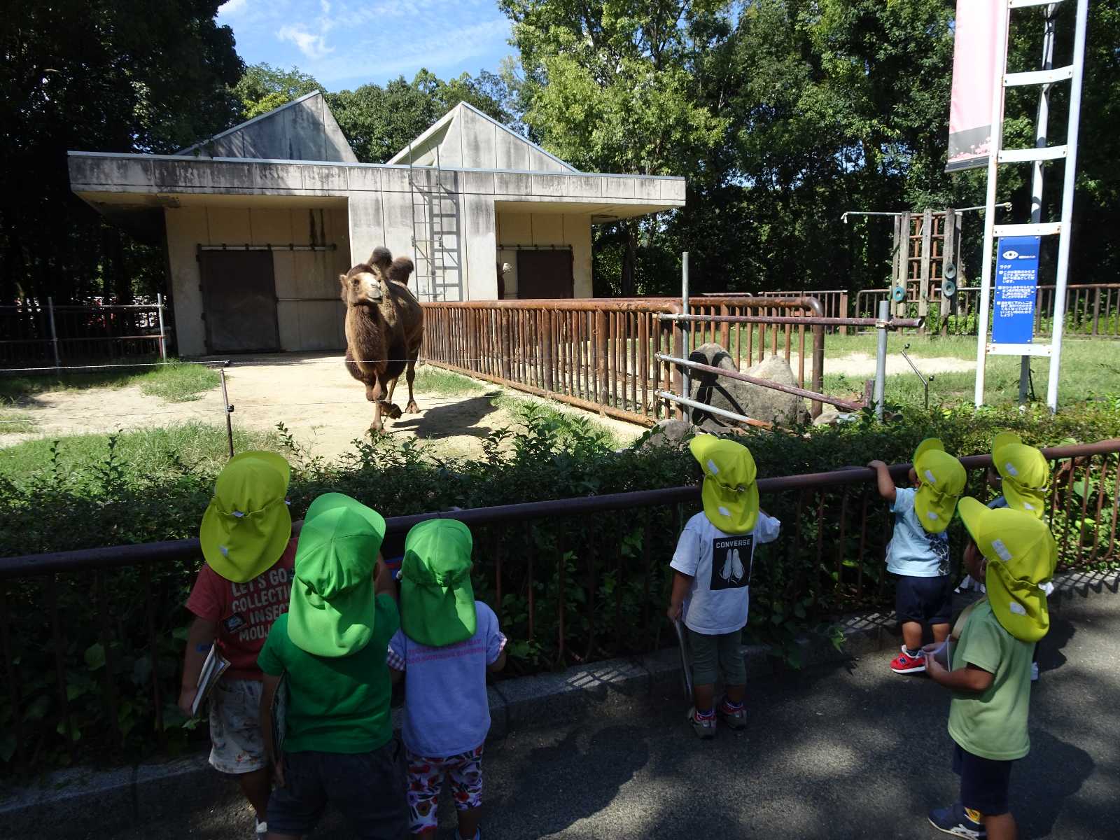 まつやま大手町保育所の画像
