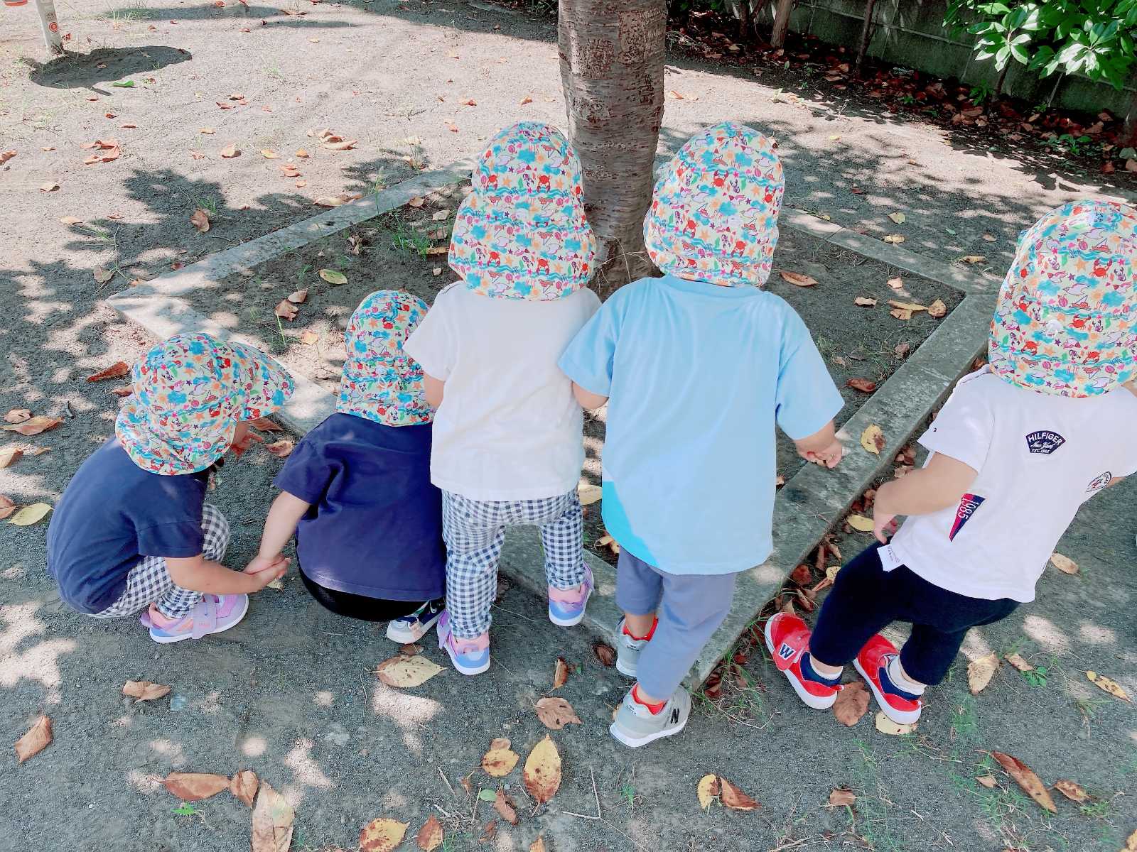 ふれ〜ず保育室の画像