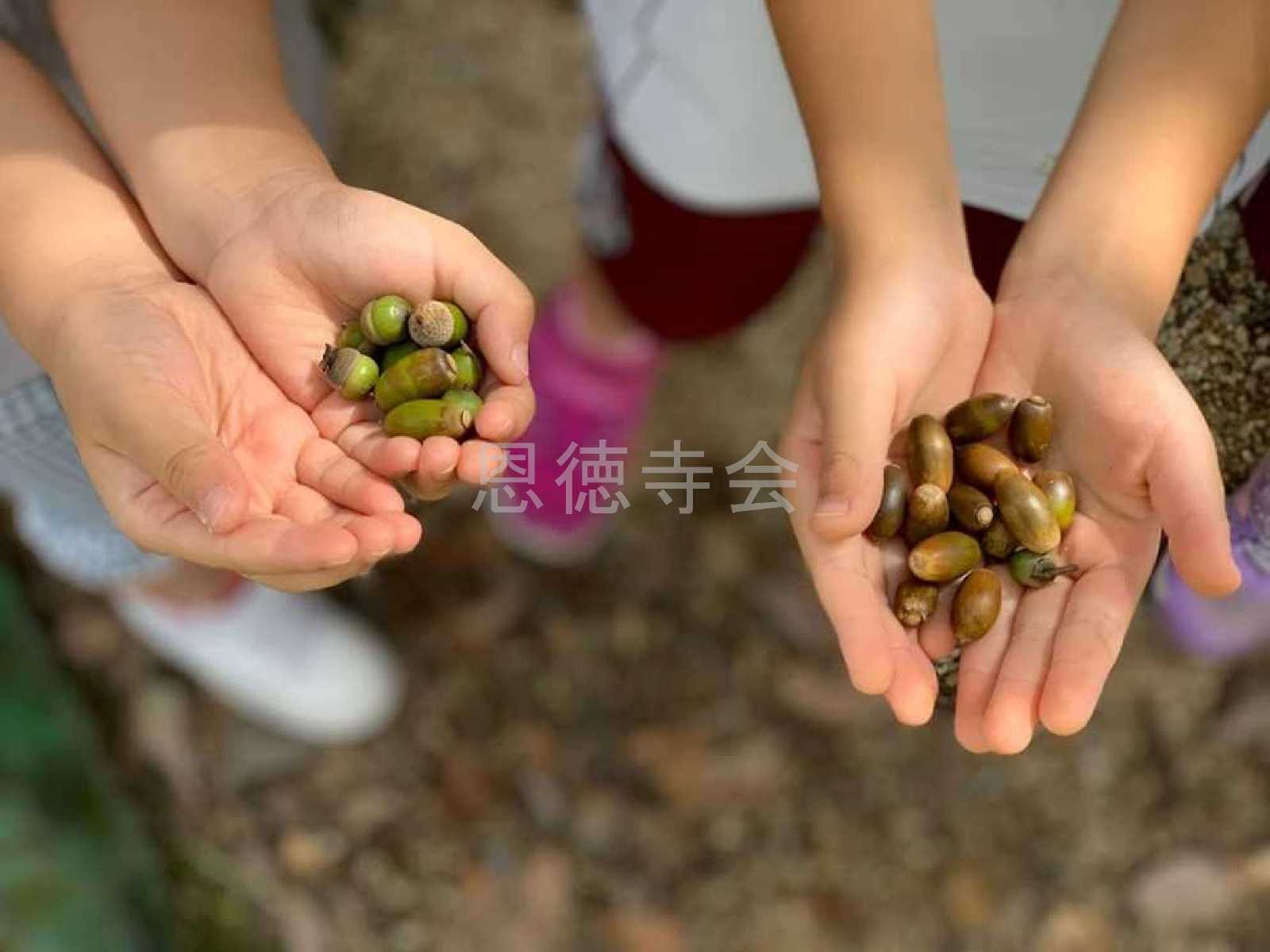 田上保育園の画像