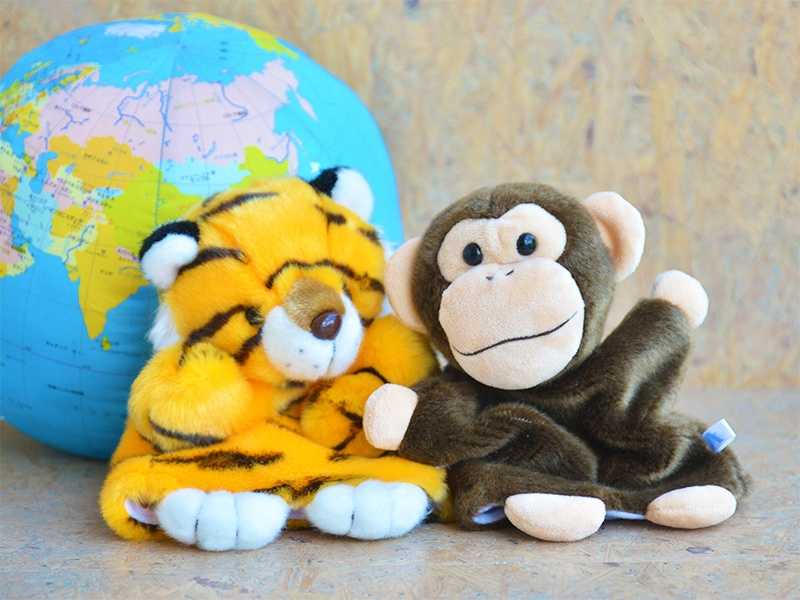 みんなのみらいをつくる保育園東雲の画像