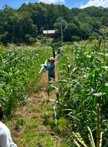 キラここキッズ軽井沢の画像