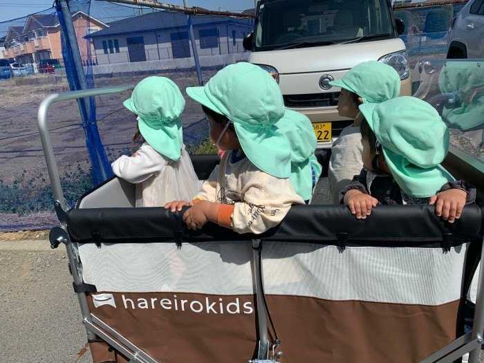 hareirokids松が丘保育園の画像