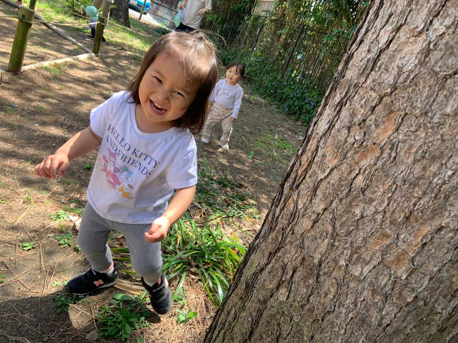 hareirokids松浪保育園の画像