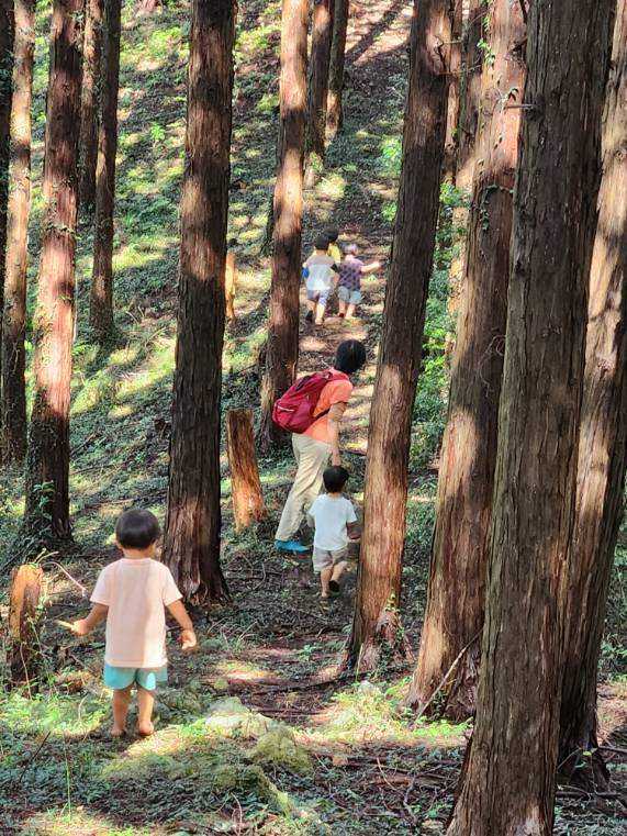 NPO法人 ももの木保育園の画像