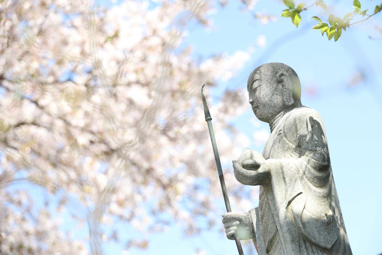 妙厳寺幼稚園の画像