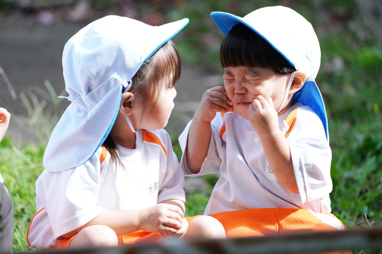妙厳寺幼稚園の画像