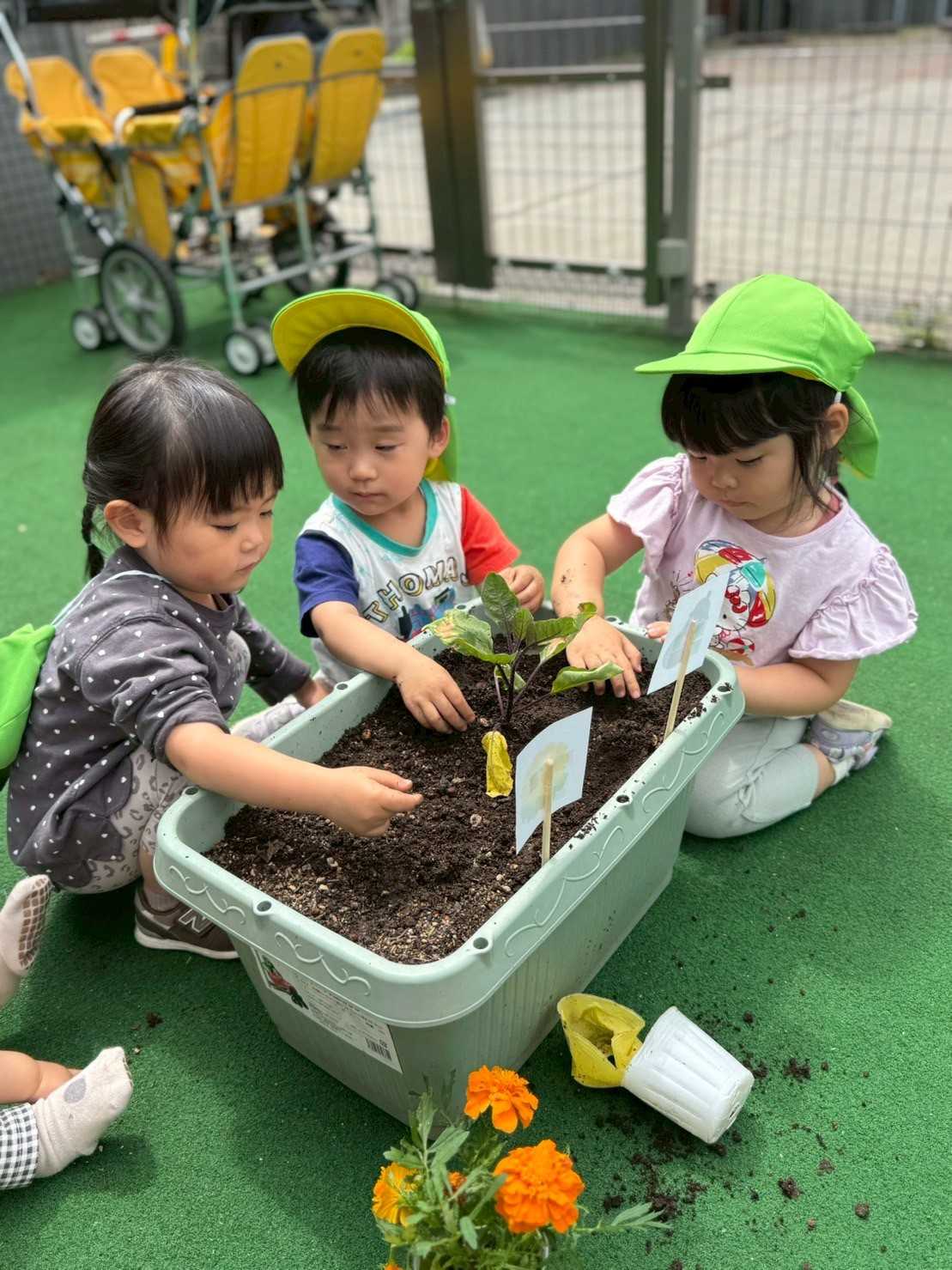 カーナキッズスクールの画像