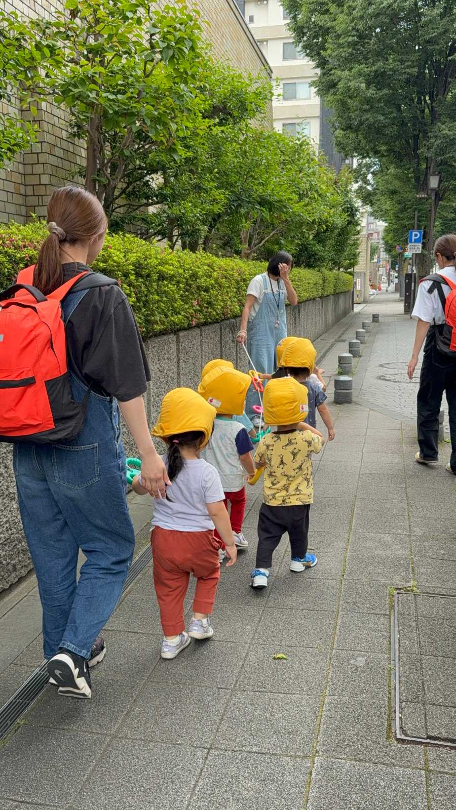 カーナキッズスクールの画像