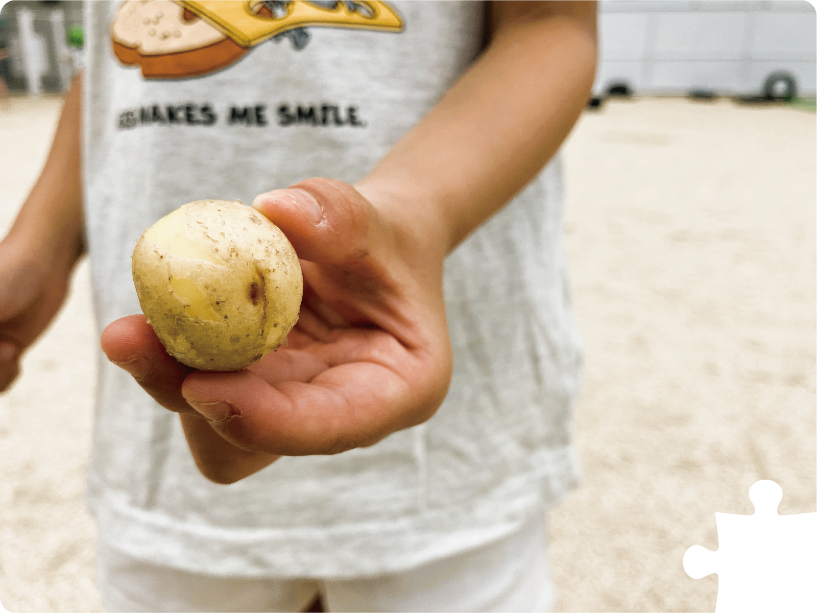 しゅうよう保育園の画像