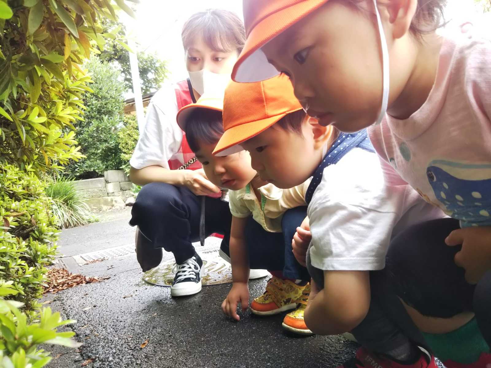 ぬくもりのおうち保育第2橋本園の画像