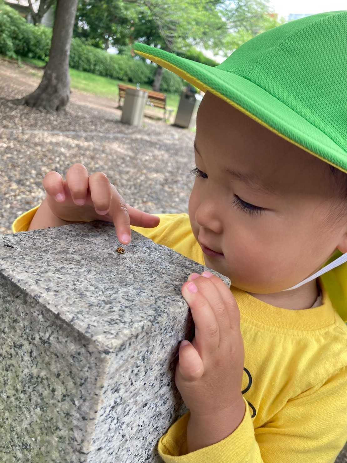 KidsResortMOTOYAWATAの画像