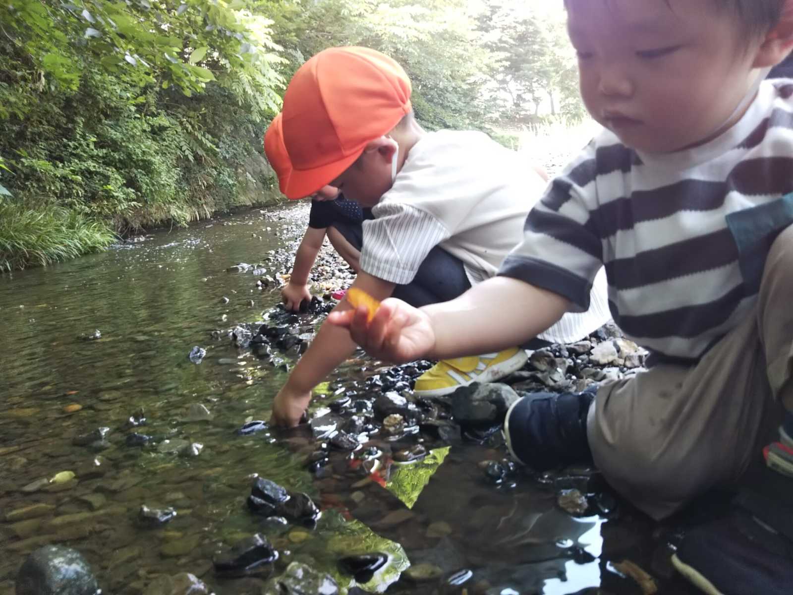 ぬくもりのおうち保育第2橋本園の画像