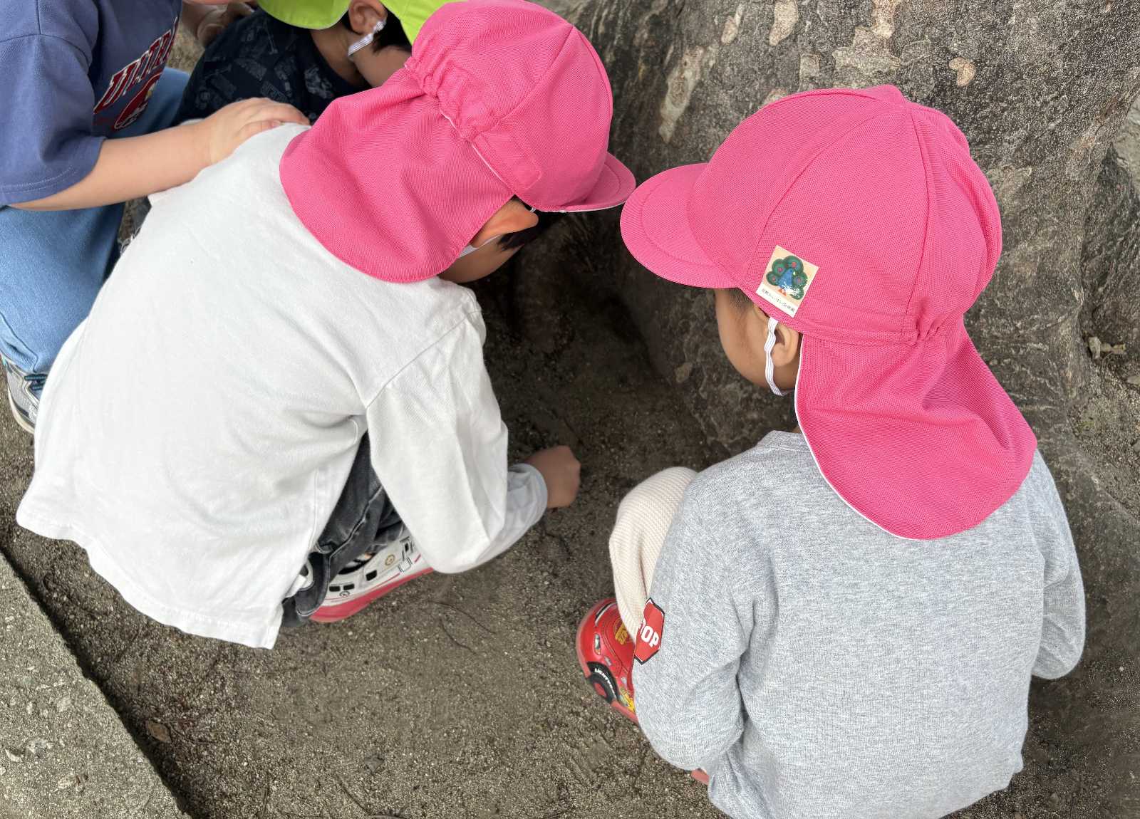 吉野かいせい保育園の画像