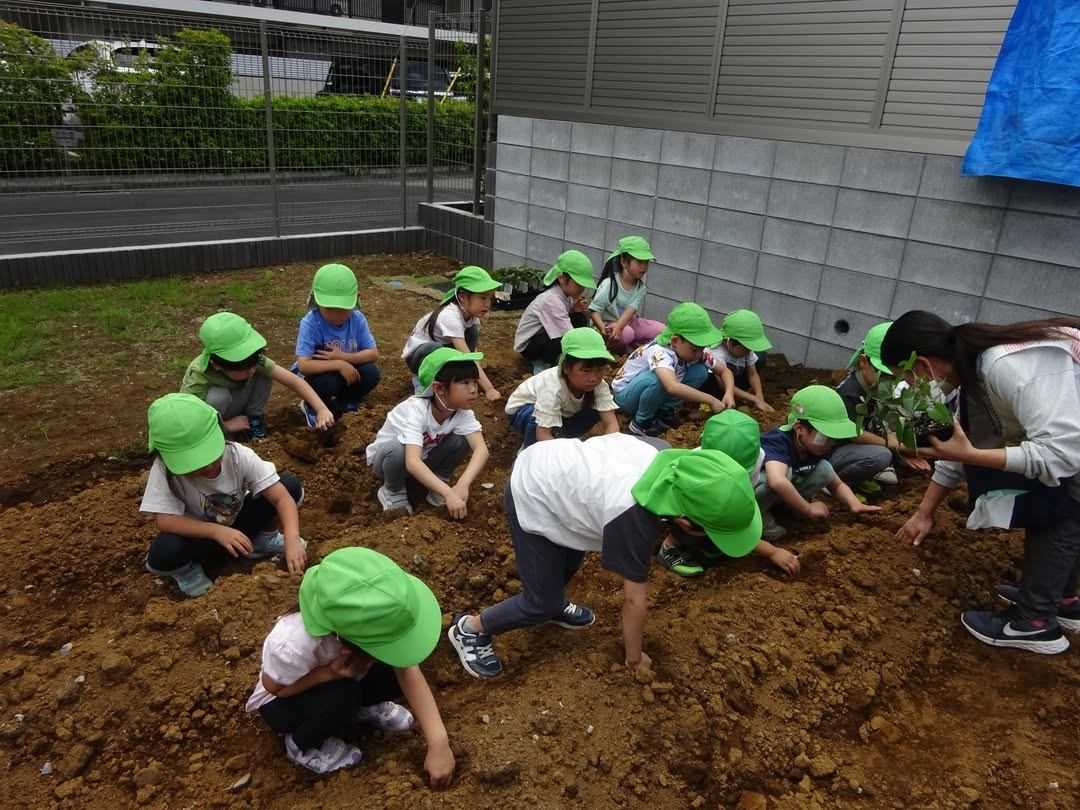 かしわたなかこころ保育園の画像