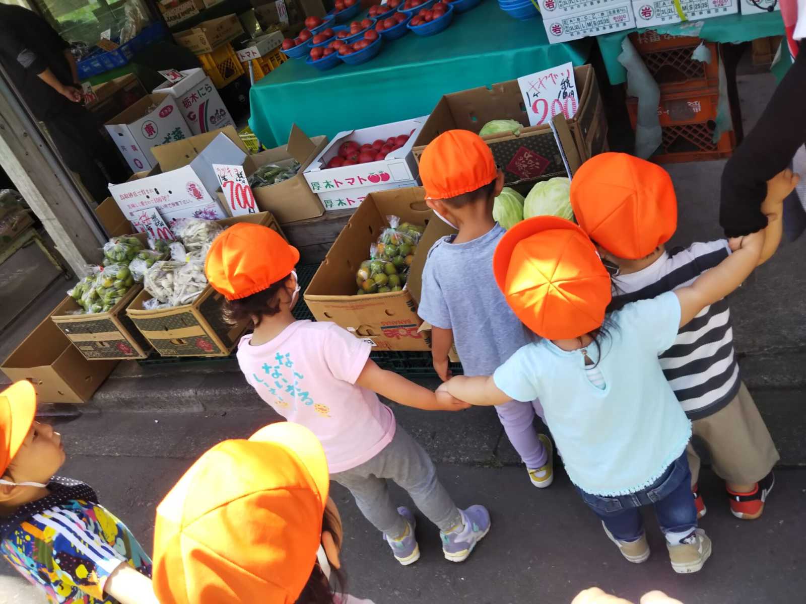 ぬくもりのおうち保育第2橋本園の画像