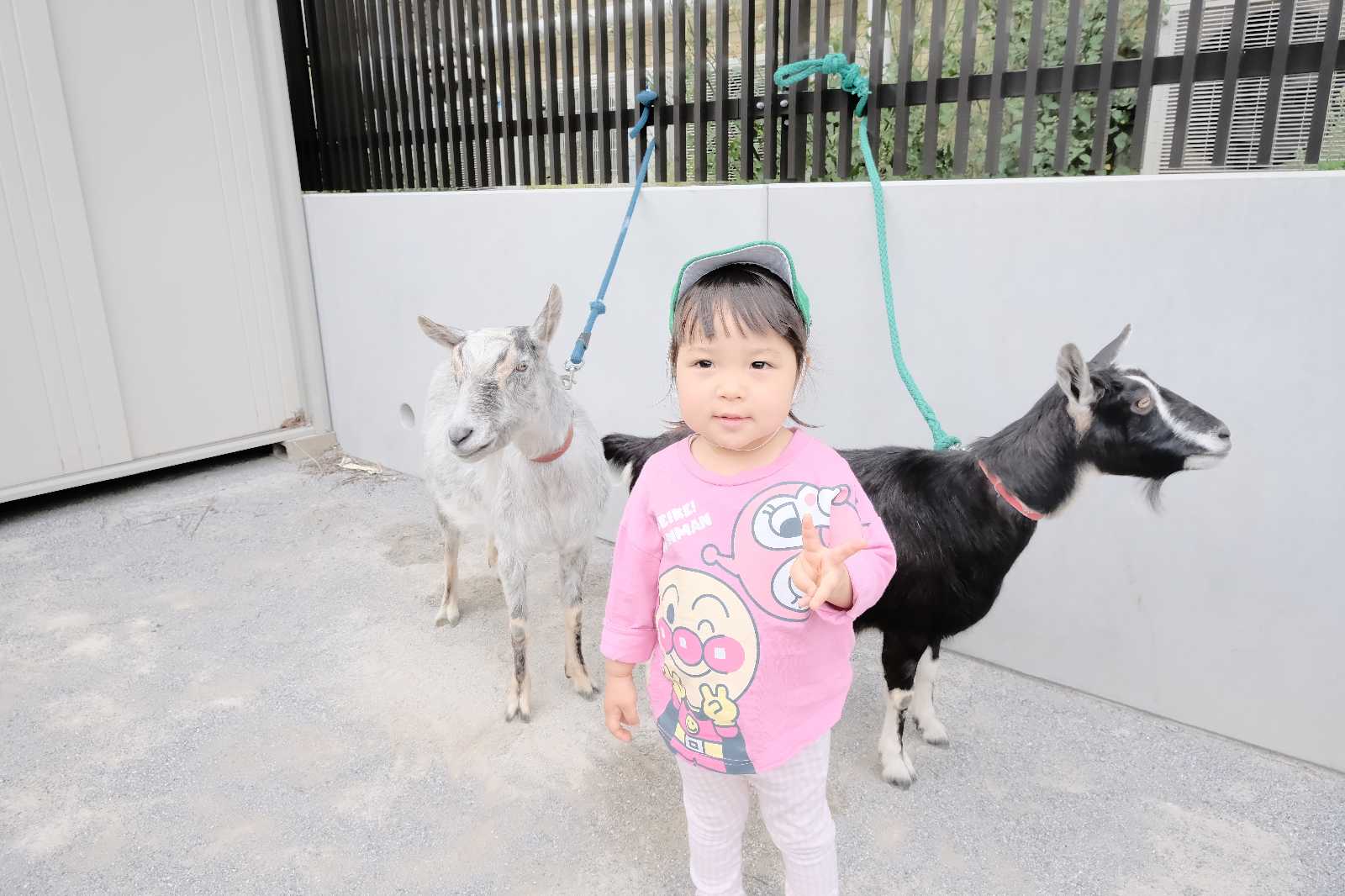 アスク上板橋保育園の画像