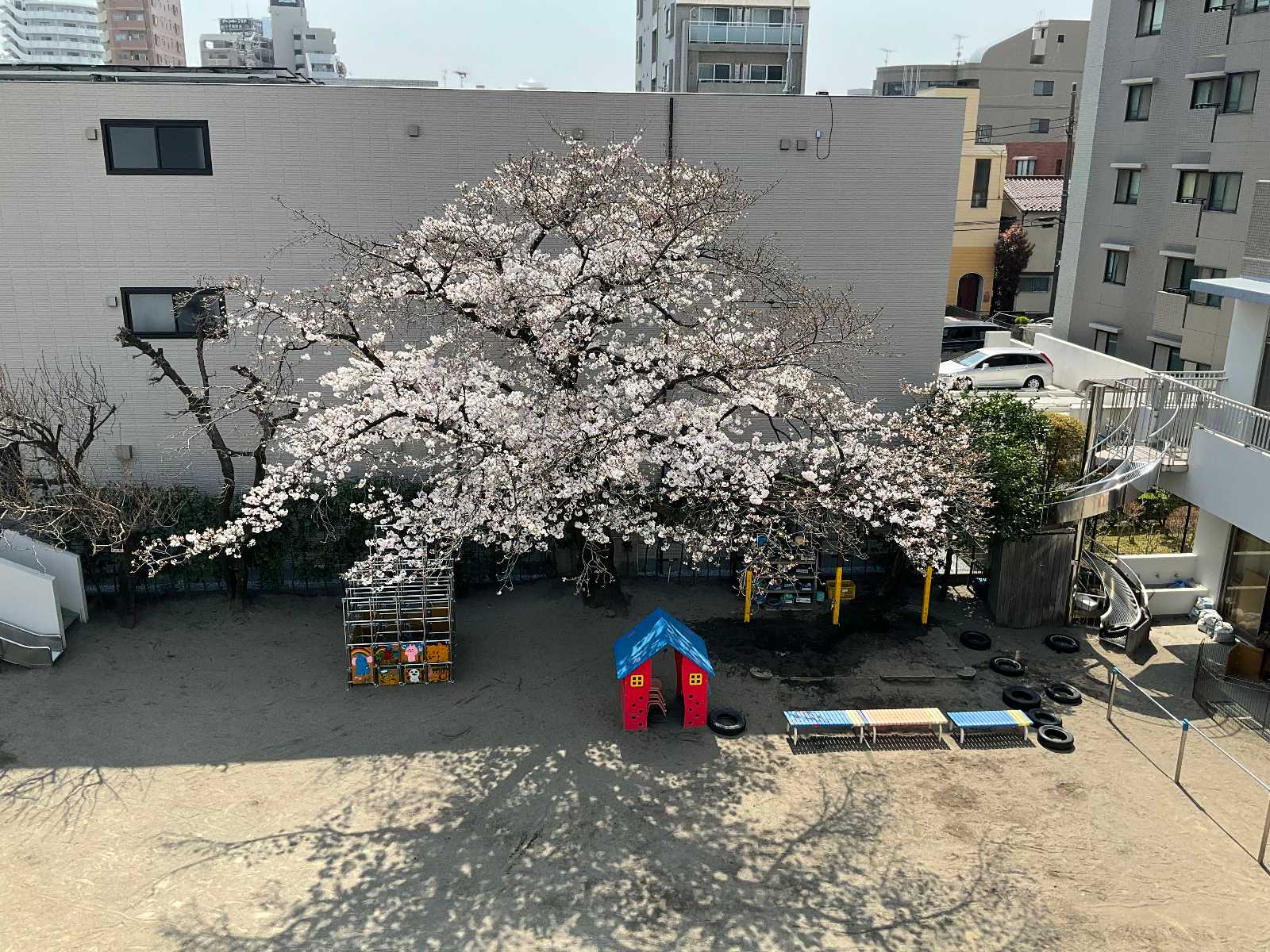 玉川保育園の画像