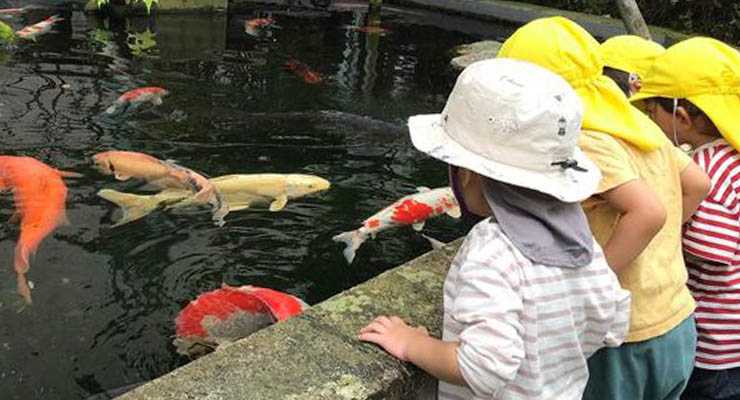 Kid’s&More南本町保育園の画像