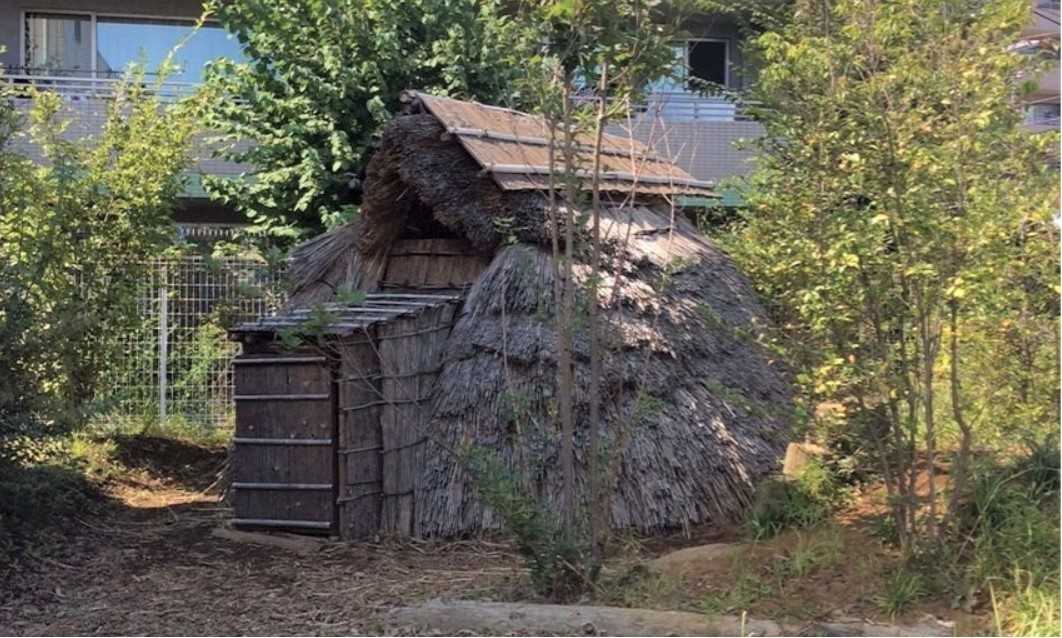 小学館アカデミーむさししんじょう第2保育園の画像