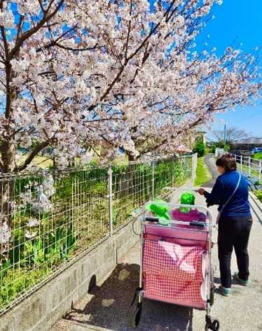 あーす保育園宇土