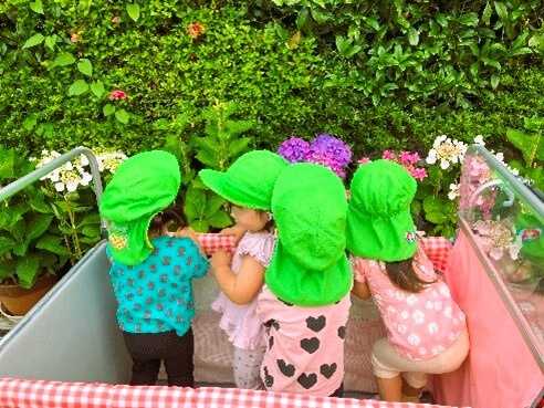 あーす保育園宇土の画像