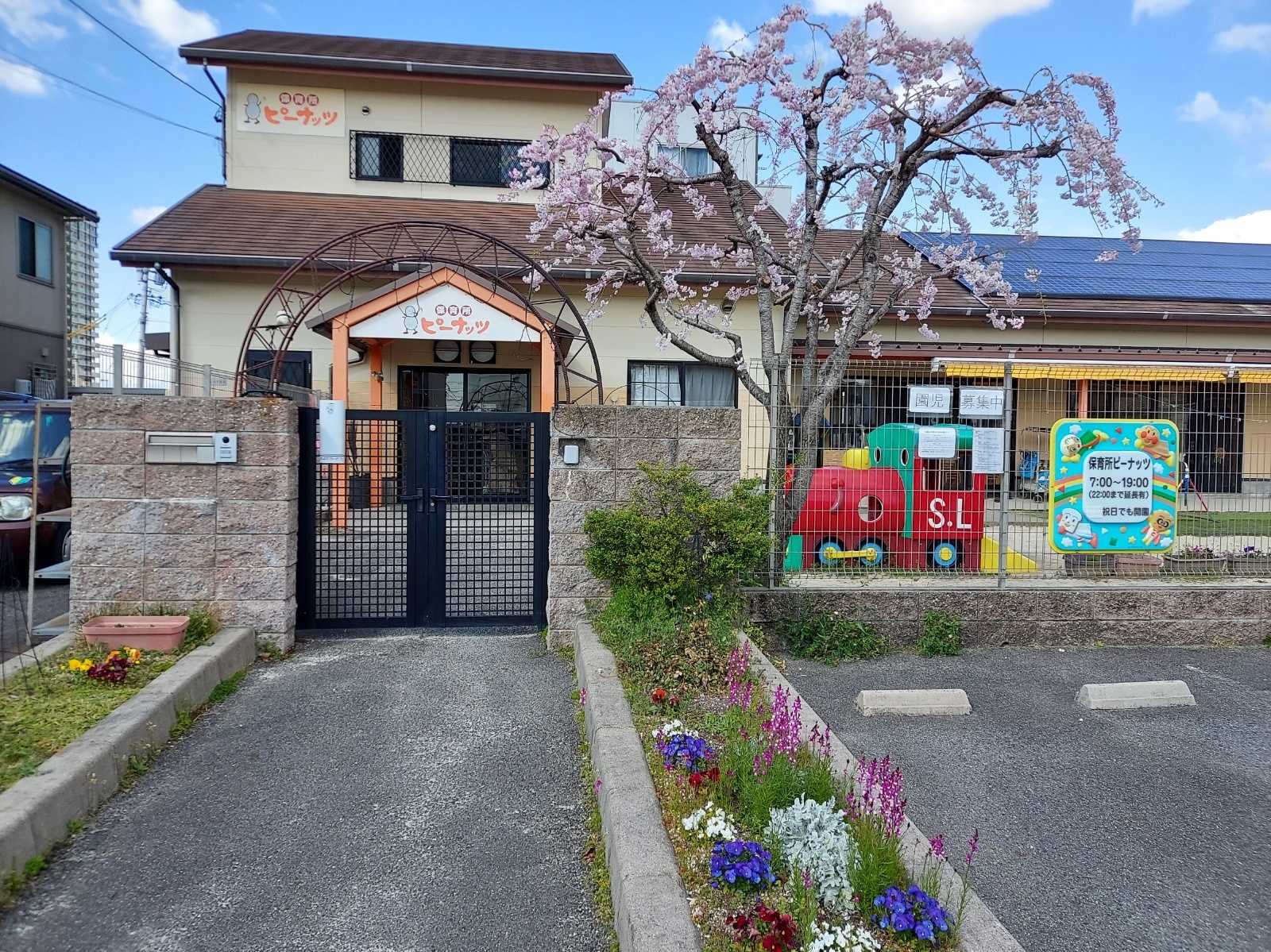 保育所 ピーナッツ