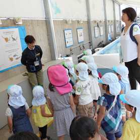 こころおおたかのもり保育園の画像