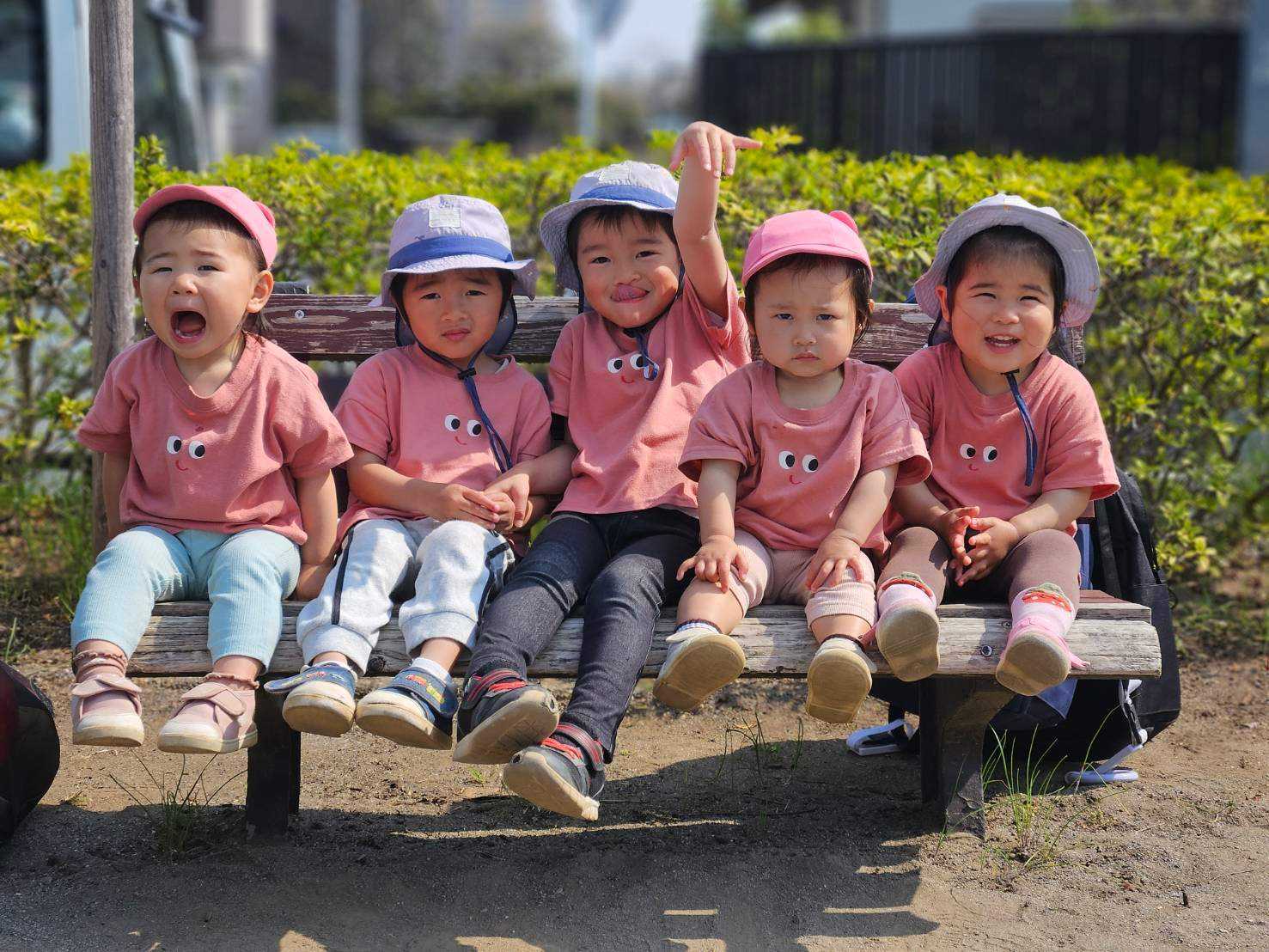 家庭的保育者 高島 紀子(ひこうきぐも)の画像