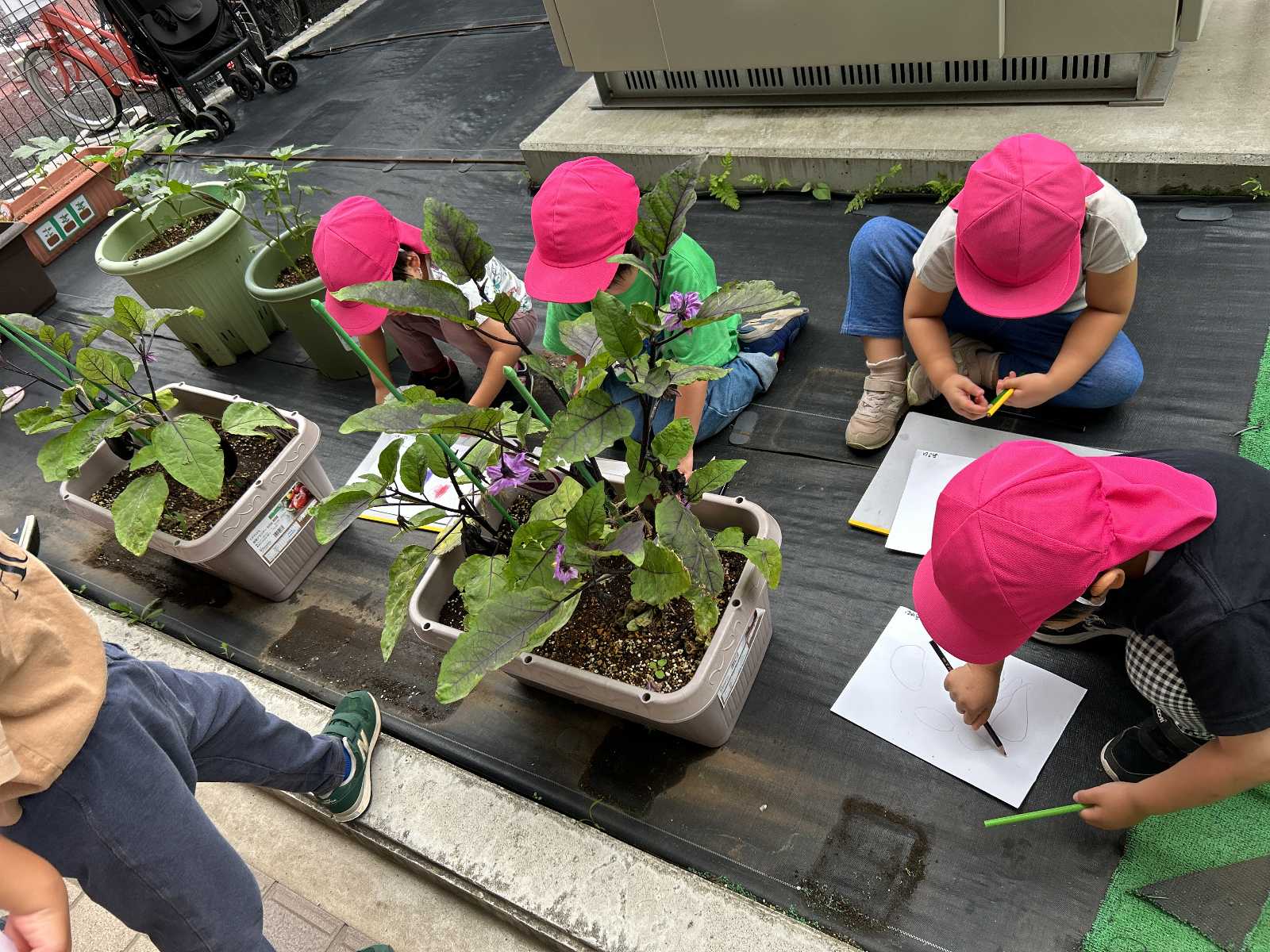 あーす保育園中央林間の画像