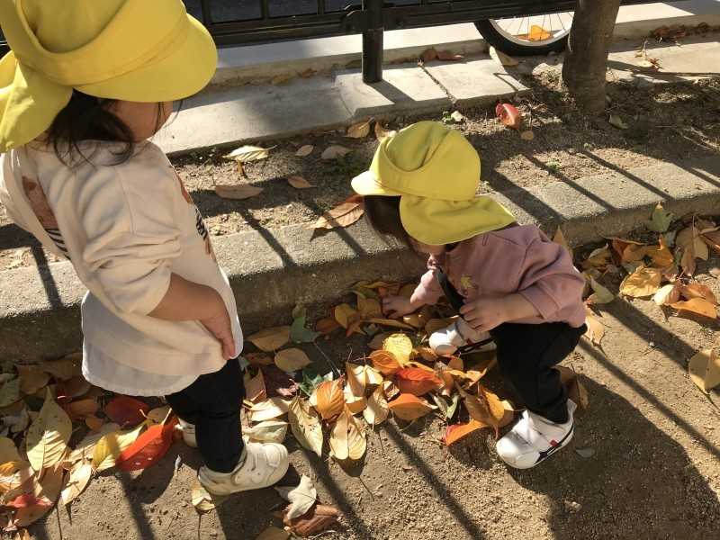 フェアリー保育園 本庄東の画像