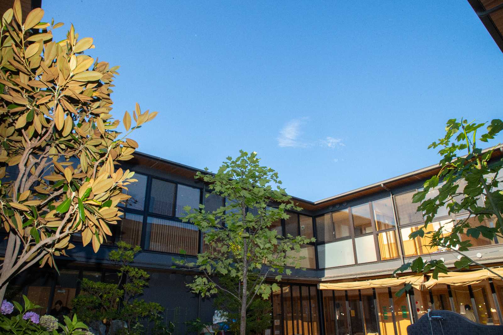 保育所型認定こども園 下鴨夢の画像