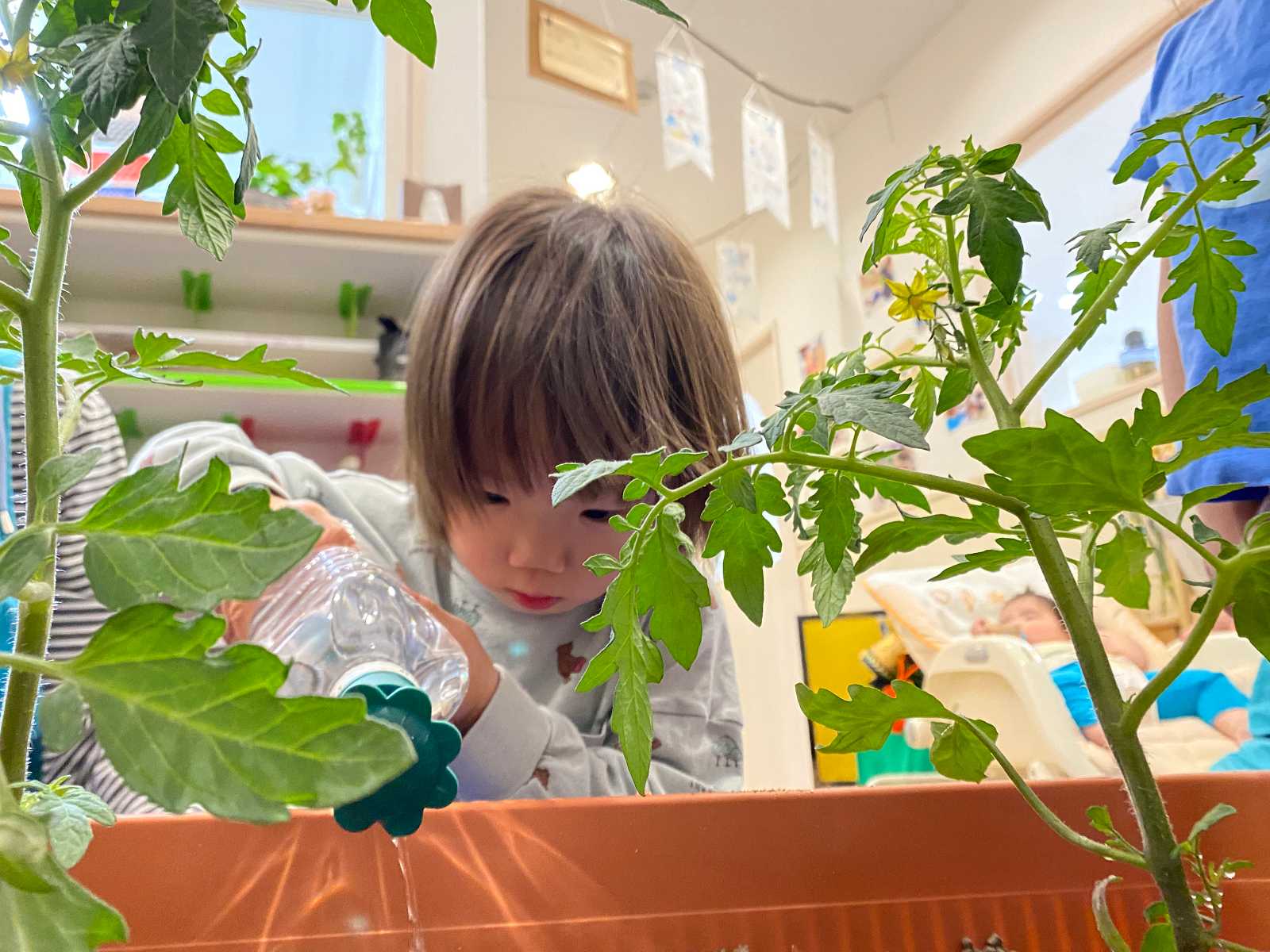 モニカ三軒茶屋園の画像