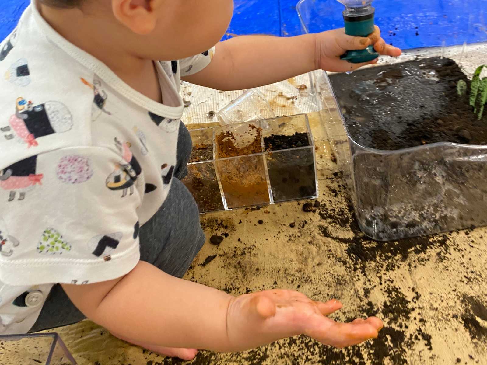 モニカ三軒茶屋園の画像