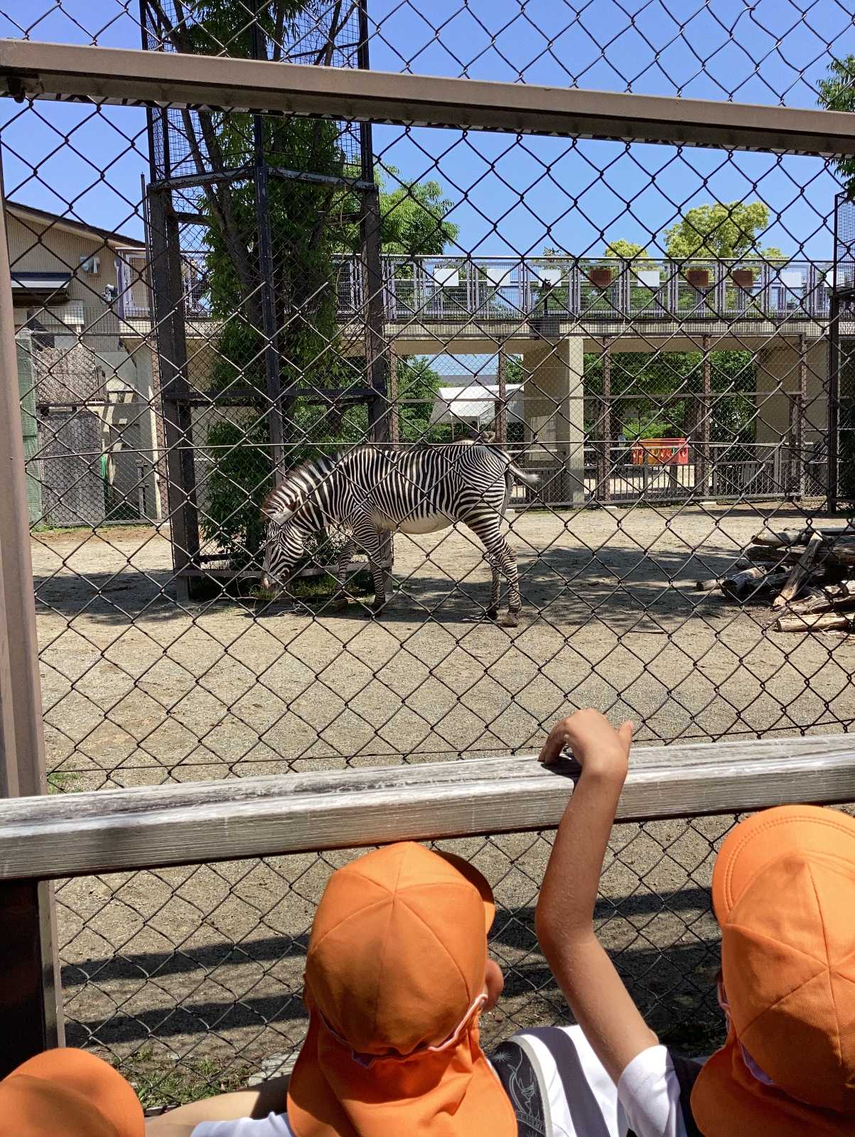 おぐりすこども園の画像