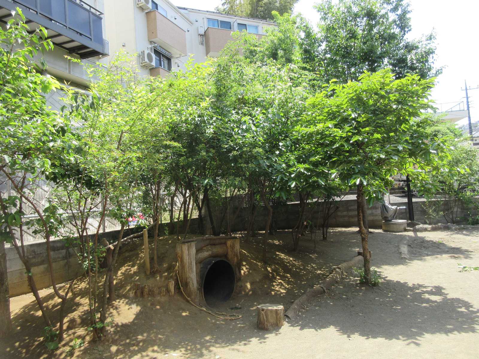 小学館アカデミー西いくた保育園の画像