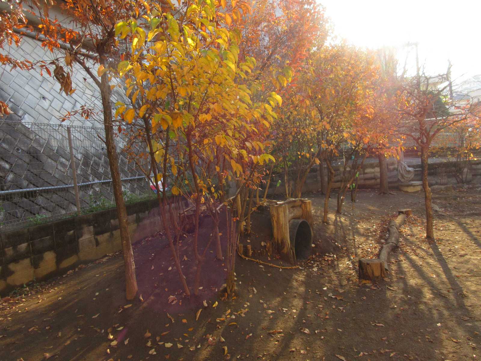 小学館アカデミー西いくた保育園の画像