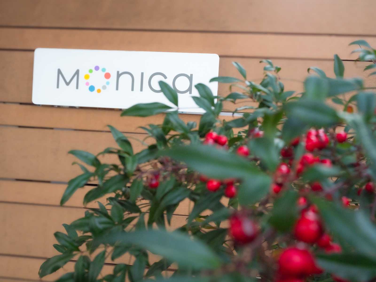 モニカ矢口渡園の画像