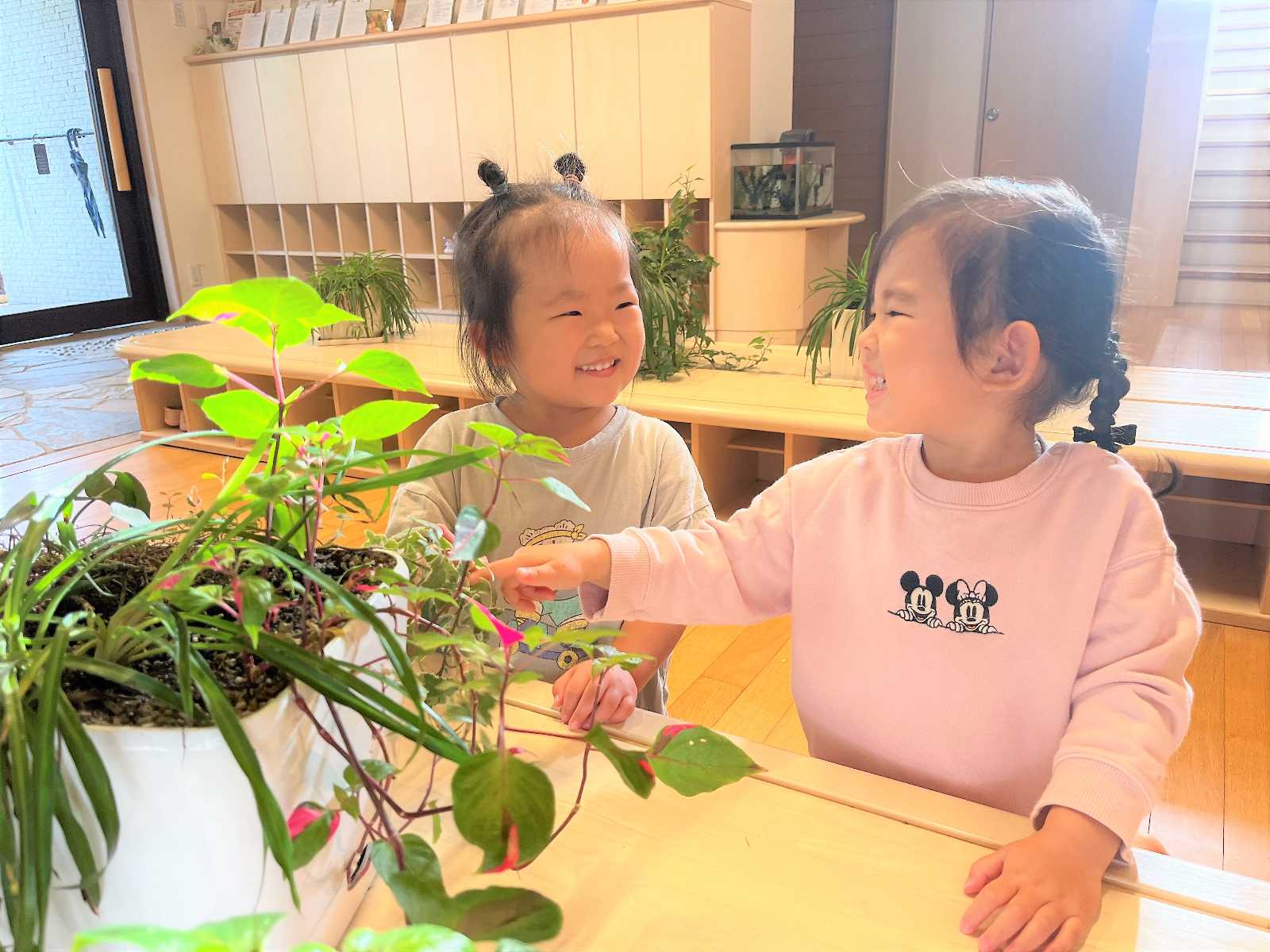 幼保連携型認定こども園夢咲の画像