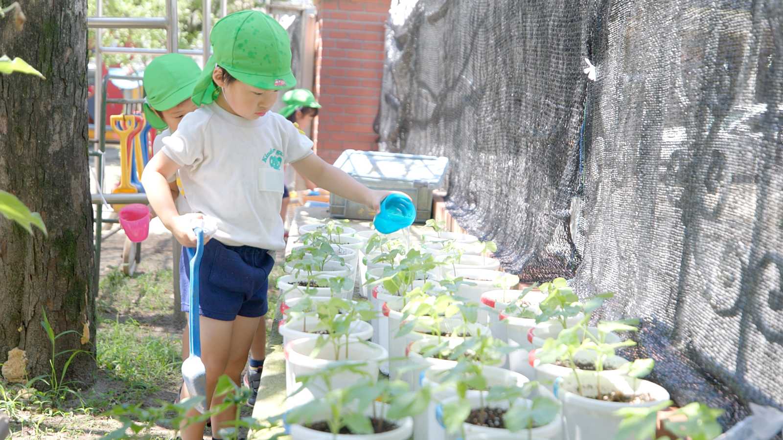 青葉幼稚園の画像