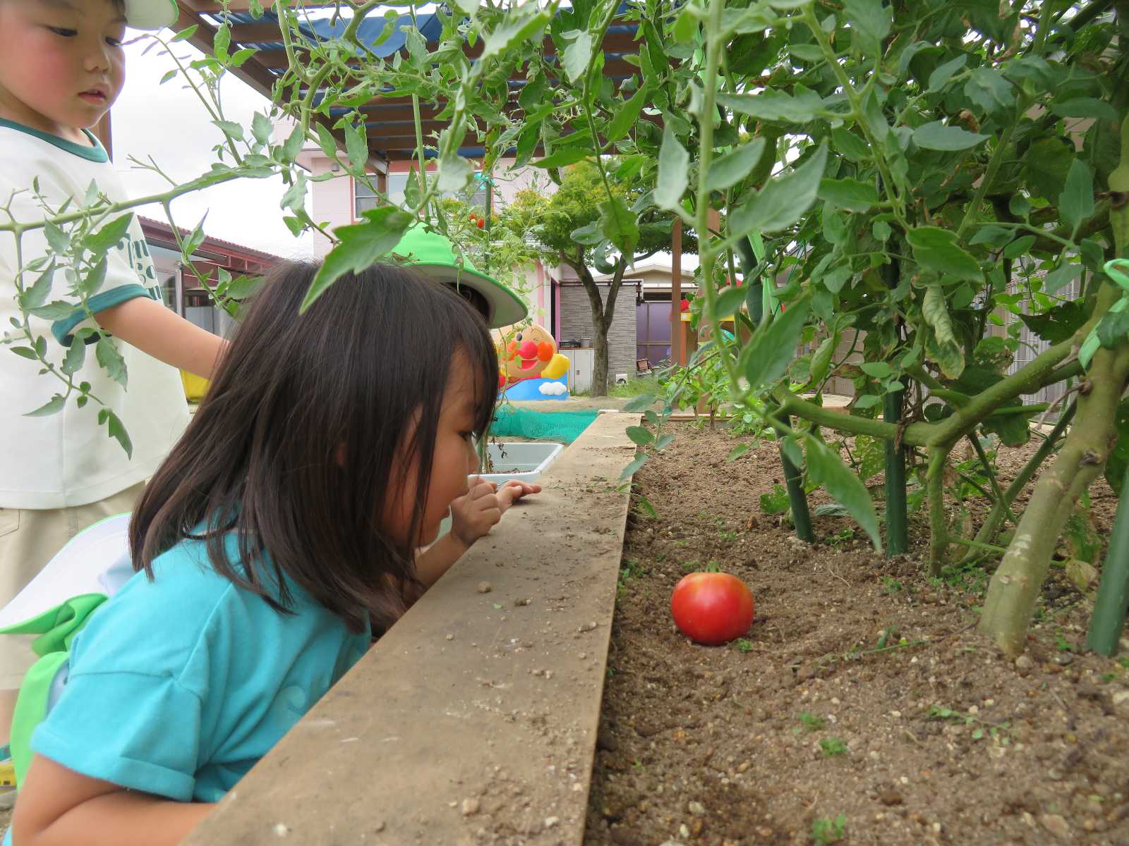 ほくしん保育園の画像