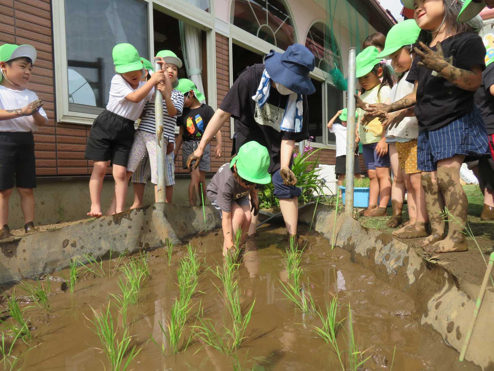 ほくしん保育園の画像