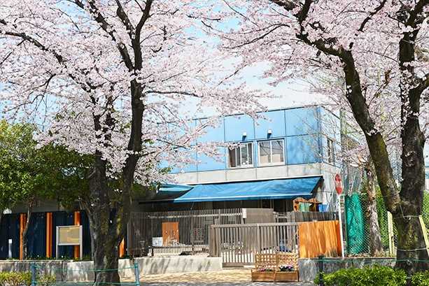 さくらのその保育園
