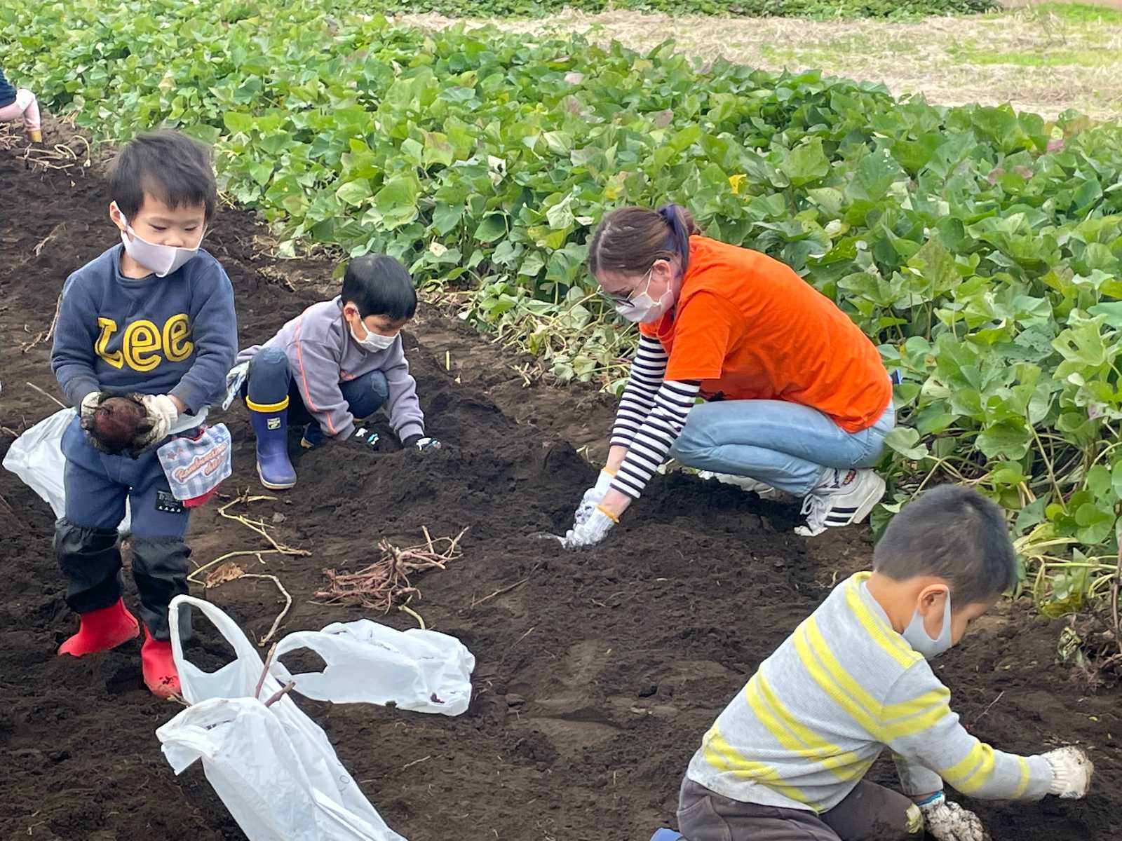 Stars&Stripes International 立川校の画像